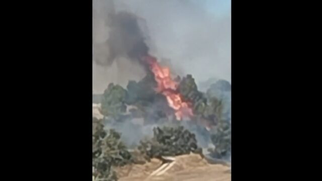 Imatge d'un incendi a les Oluges, a peu de la C-25 (Bombers)